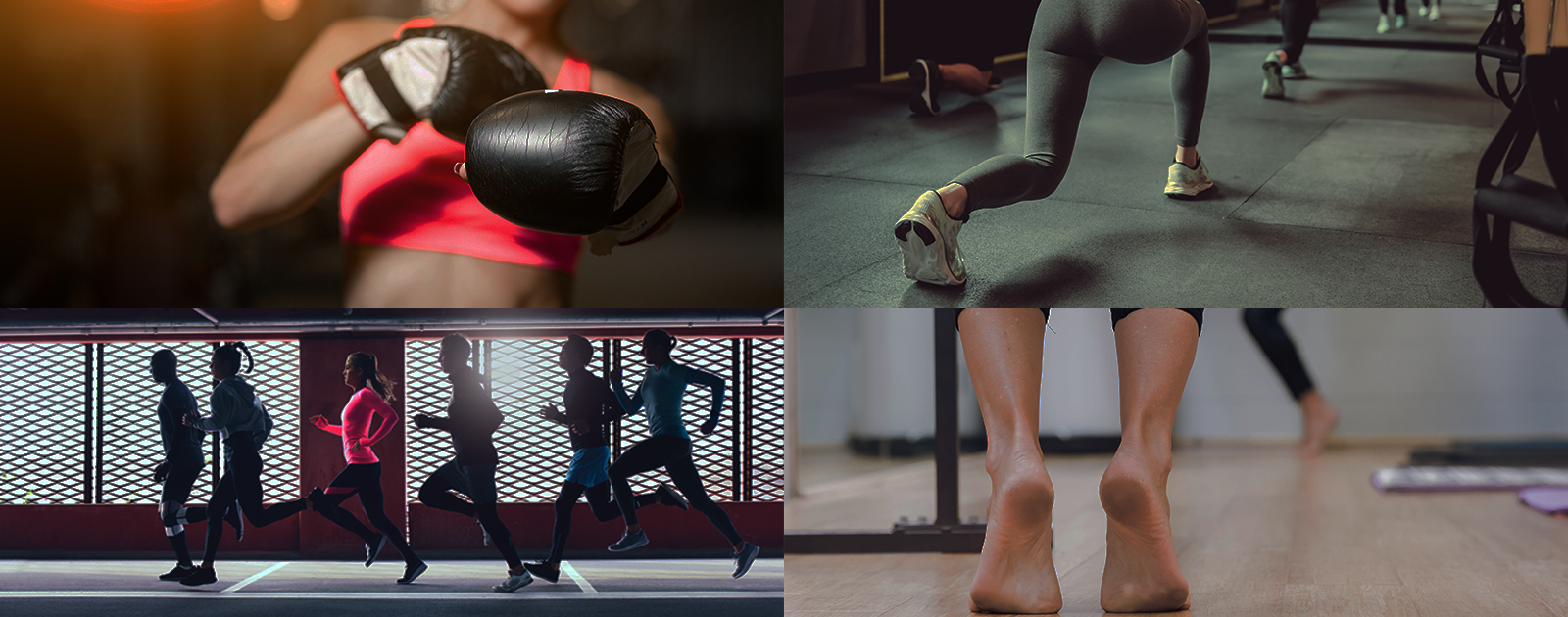 Boutique Fitness Trends: Everything You Need to Know